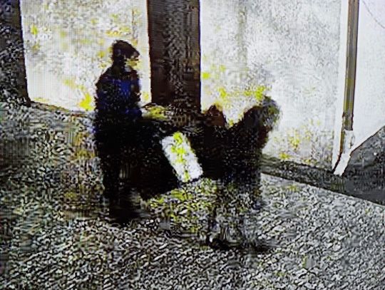 Młodzi złodzieje wynieśli z kościoła skarbonę z darami. Wpadli przez nagranie z monitoringu