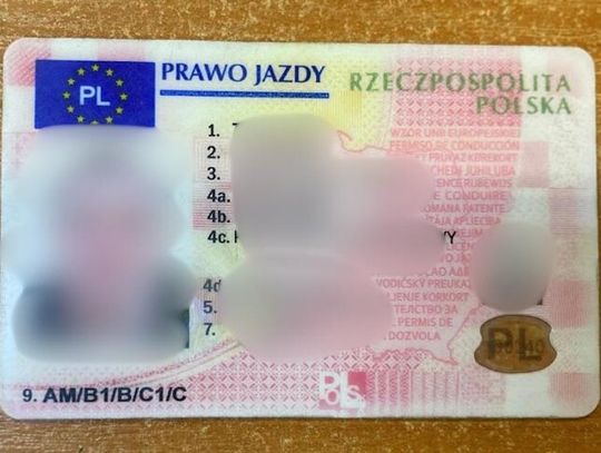 Mołdawianin kupił w internecie prawo jazdy za 1300 euro. Wpadł, gdy przekroczył prędkość