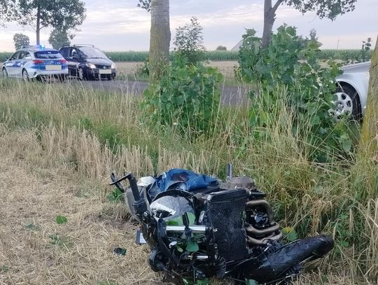 Motocyklista wjechał w drzewo próbując ominąć sarnę. Z ciężkimi obrażeniami trafił do szpitala
