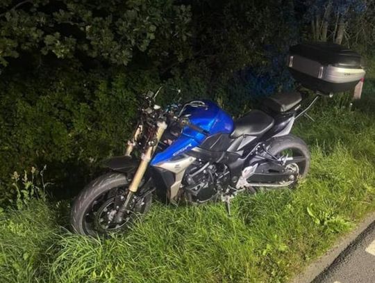 Motocyklista wjechał w łosia przechodzącego przez jezdnię. Ranny 34-latek trafił do szpitala