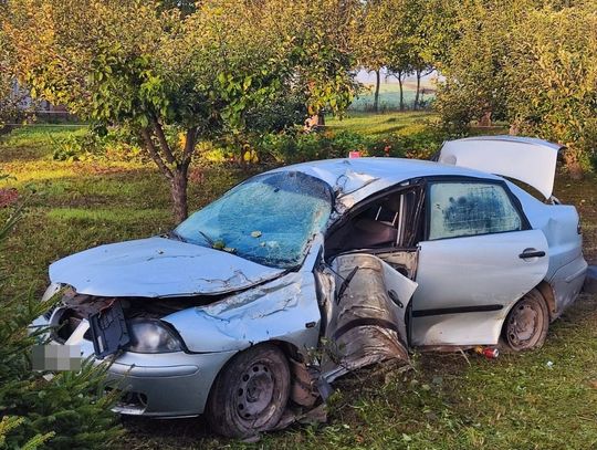 Na prostym odcinku drogi stracił panowanie nad seatem i ściął kilka drzew. Kierowca zginął, pasażer trafił do szpitala