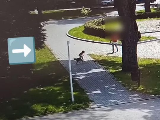 Naćpana matka "opiekowała się" dzieckiem w parku. Nawet nie zauważyła, gdy pobiegło w stronę ulicy. "Wciągnęłam kreskę"