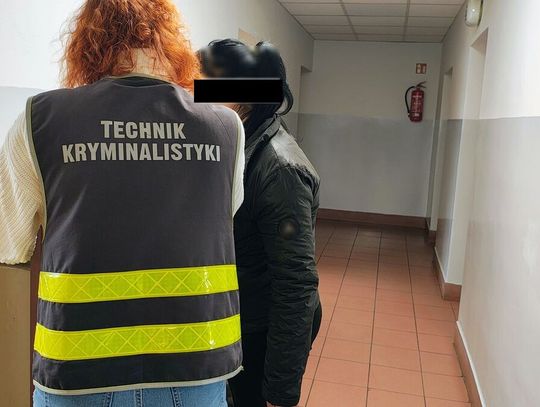 Nagrał, jak wyrzucają śmieci do lasu i zwrócił im uwagę. Gruzin i Mołdawianka pobili go kijem