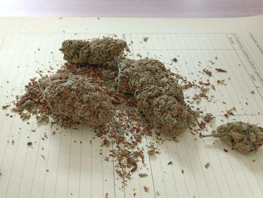 Najpierw zatrzymali 24-latka, a później jego ojca. Obaj odpowiedzą za posiadanie narkotyków