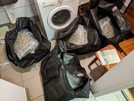 Nalot na magazyn dilerów w Warszawie. W niepozornym mieszkaniu ponad 130 kg narkotyków [WIDEO, FOTO]