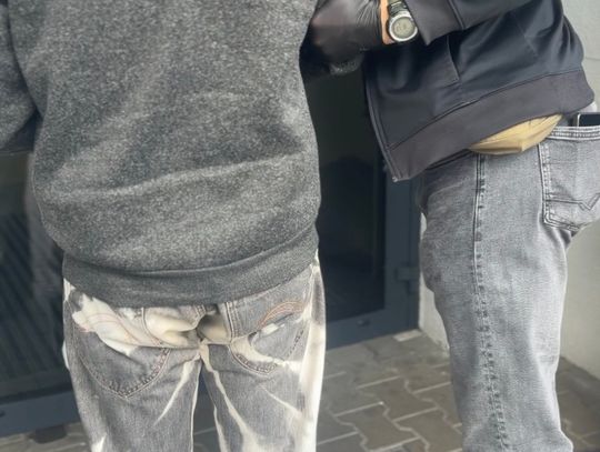 Narkotyki, amunicja i pornografia z udziałem małoletnich. 34-latek w areszcie