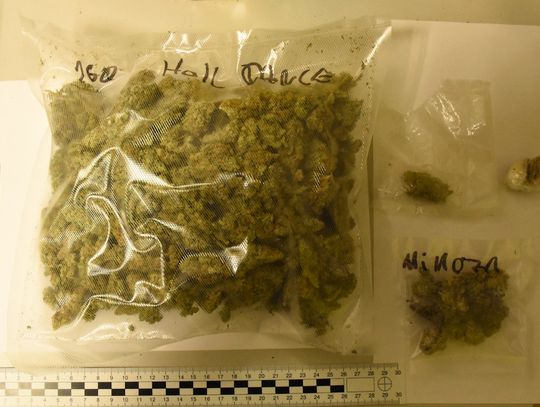 Narkotyki pod maską Audi i fałszywe czeskie prawo jazdy. Recydywista wpadł podczas obławy