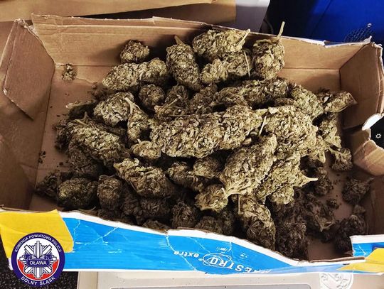 Narkotyki ukryte w piwnicy i plecaku. Zatrzymany 19-latek może trafić do więzienia na 10 lat