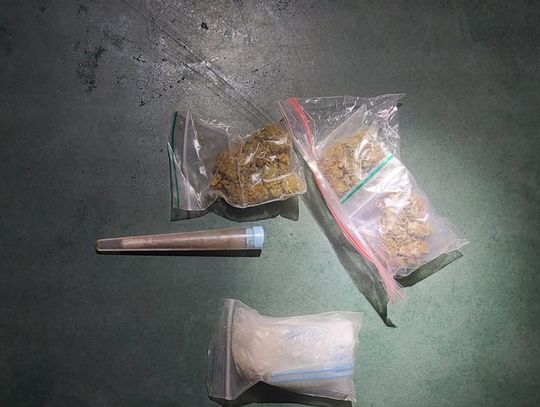 Narkotyki ukryte w torbie z brudnymi gaciami. Wywąchał je pies celników