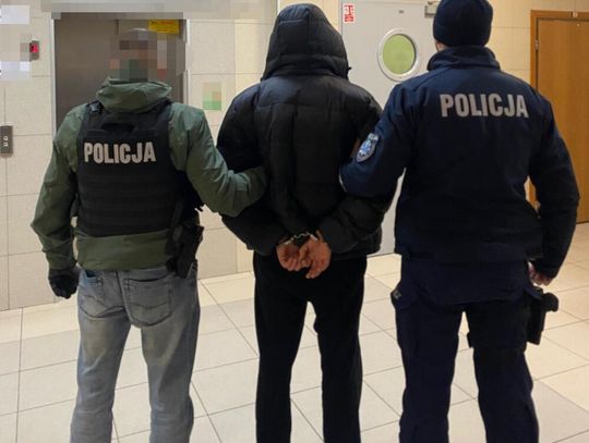 Narkotyki w mieszkaniu młodej pary. Po zatrzymaniu 24-latki jej partner wziął winę na siebie