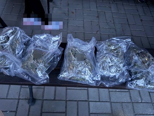 Narkotyki w paczce kurierskiej. 35-latek odpowie za posiadanie znacznych ilości marihuany i haszyszu