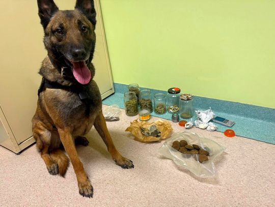 Narkotyki w słoikach i „zakazane” ciasteczka. 26-latek zatrzymany po nalocie policji