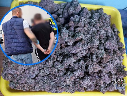 Kilogram marihuany, amfetamina i skradziona tablica. Zatrzymania po akcji kryminalnych