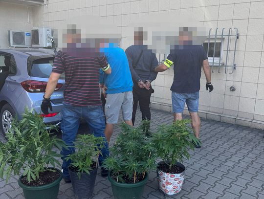 Narkotykowa transakcja na parkingu. Policjanci na gorącym uczynku zatrzymali dilera i jego klienta