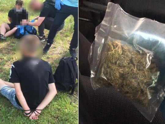 Nastolatkowie wpadli z narkotykami, bo jeden z nich wyrzucił śmieci na trawnik