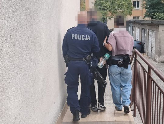 Nie chciał zapłacić za kurs. Groził taksówkarzowi i kopnął w auto - zostanie wydalony z Polski