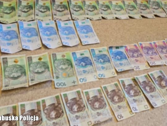 Nie chciało im się zarabiać pieniędzy, więc zaczęli je drukować. Dwóch mężczyzn i kobieta z zarzutami fałszerstwa