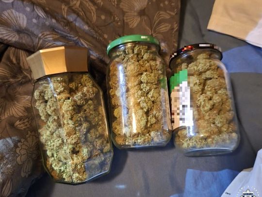 Nie minął miesiąc, a znów wpadł. 35-latek miał w mieszkaniu trzy słoiki z marihuaną