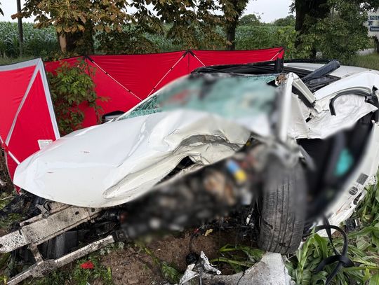 Nie żyje 22-latek i jego pasażer. Rozpędzony mercedes roztrzaskał się na przydrożnym drzewie