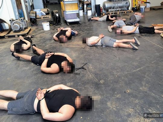 Nielegalne fabryki papierosów w sortowniach owoców. Polskie służby rozbiły gang i zatrzymały 15 osób