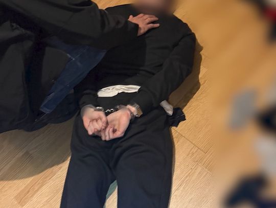 Nieletni reklamowali podróbkę mObywatela. Policjanci rozbili zorganizowaną grupę przestępczą