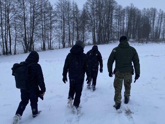 Niemiec zatrzymany za szmuglowanie Afgańczyków do Polski. Czekał na nich tuż pod granicą