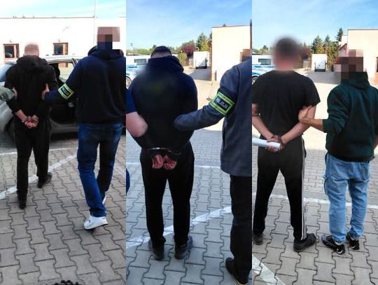 Niespodziewana wizyta w lesie. Trzej plantatorzy konopi wpadli w ręce kryminalnych