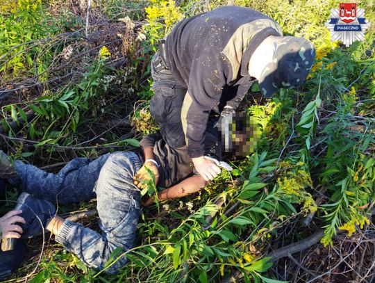 Nigeryjczyk uprawiał konopie w lesie pod Piasecznem. 32-latek wpadł w zasadzkę kryminalnych