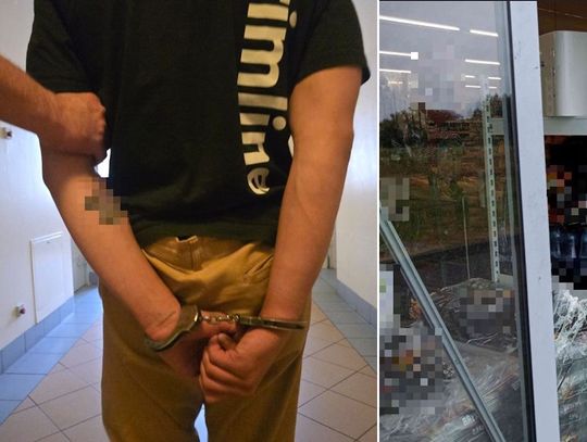 Niszczyli witryny sklepów, a potem przebrani w kombinezony malarskie dokonywali kradzieży [WIDEO]