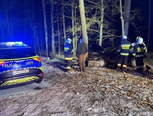 Nocny pościg zakończony na drzewie. Recydywista uciekał audi przed policją Nocny pościg zakończony na drzewie. Recydywista uciekał audi przed policją