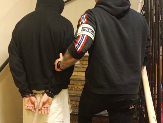 Obciął królikowi uszy, pokiereszował go nożem i wyrzucił w krzaki. 21-latek odpowie przed sądem