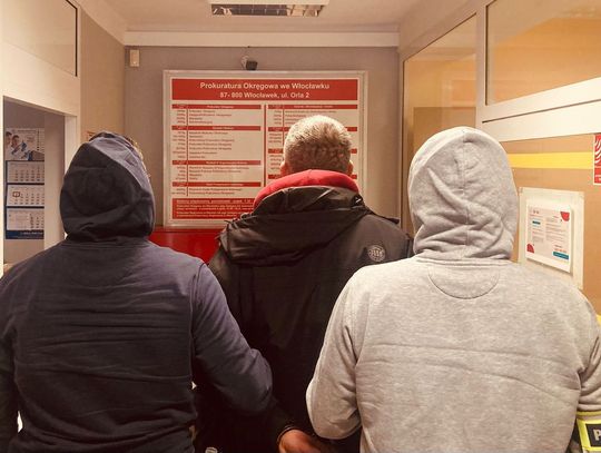 Oferował pirackie oprogramowanie do diagnostyki aut. Policja znalazła u niego pornografię dziecięcą