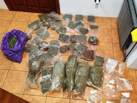 Ojciec i syn produkowali narkotyki na masową skalę. Urządzili własną plantację w piwnicy domu Ojciec i syn produkowali narkotyki na masową skalę. Urządzili własną plantację w piwnicy domu