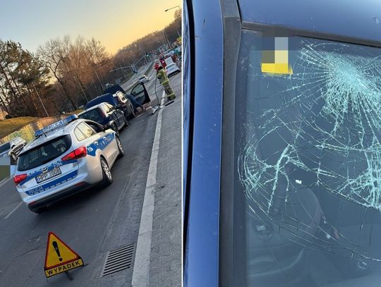 Ojciec nie zapiął pasów dziecku. Podczas kolizji 7-latek wyleciał z fotelika i uderzył głową w szybę