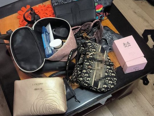 Okradli Brazylijkę podróżującą pociągiem. Nie mieli pojęcia, że w walizce jest lokalizator