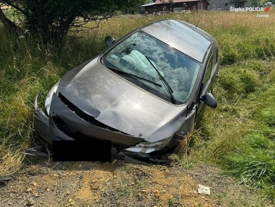 Opel zjechał z drogi i wbił się w betonowy przepust. Mimo reanimacji nie udało się uratować kierowcy