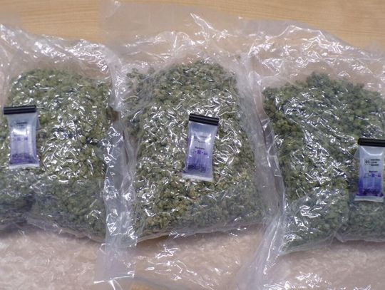 Oryginalna próba przemytu narkotyków z USA. W paczce zamiast dżinsów było 1,5 kg marihuany