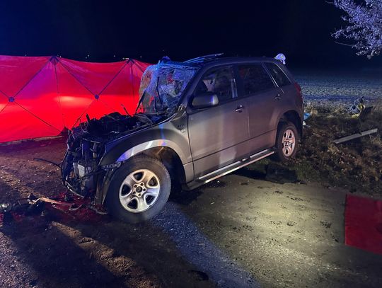 Osobówka kompletnie zmiażdżona po uderzeniu w drzewo. Jeden z pasażerów zginął na miejscu Osobówka kompletnie zmiażdżona po uderzeniu w drzewo. Jeden z pasażerów zginął na miejscu