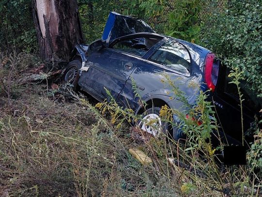Osobówka najpierw uderzyła w dwie ciężarówki, a potem wbiła się w drzewo. Mężczyzna za kierownicą zginął