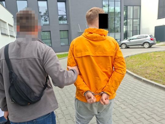 Oszustwo podatkowe zamieniło się w śledztwo narkotykowe. Młody diler tymczasowo aresztowany