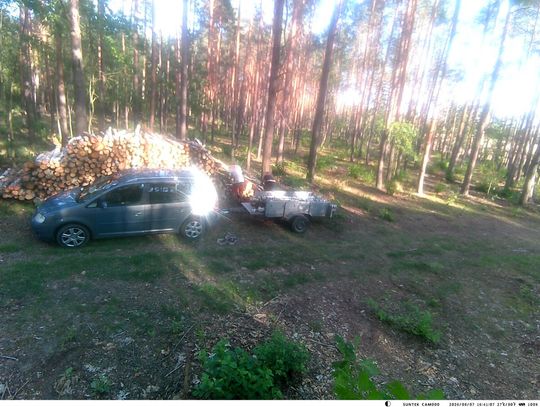 Para kradła drewno z lasu. Właściciel zamontował fotopułapkę, resztą zajął się dzielnicowy