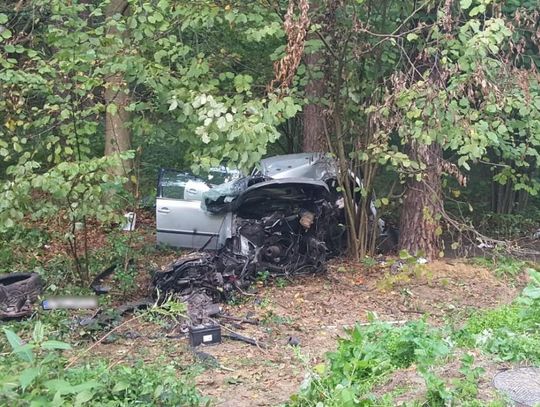 Passat zjechał z drogi i uderzył w drzewo. W wypadku zginęli dwaj młodzi mężczyźni