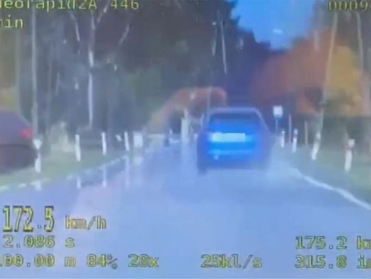 Pędziła przez miejscowość aż 172 km/h. Policjantom powiedziała, że śpieszyła się, bo wracała po telefon