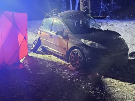 Peugeot wypadł z drogi i uderzył bokiem w drzewo. Zginęła 19-latka i 34-letni mężczyzna