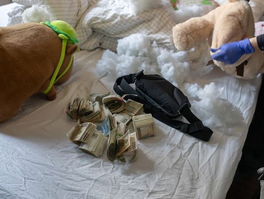 Pieniądze z hazardu zaszywali w pluszakach. Wielka akcja służb w Warszawie i okolicach Pieniądze z hazardu zaszywali w pluszakach. Wielka akcja służb w Warszawie i okolicach