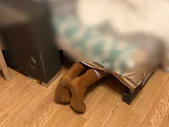 Pies „sprzedał” właściciela. Kryminalni znaleźli poszukiwanego 44-latka pod łóżkiem