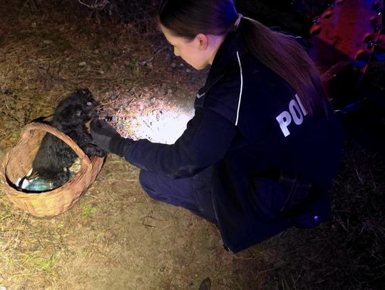 Pies uratował mu życie. Ratownicy usłyszeli szczekanie, które doprowadziło ich do wychłodzonego mężczyzny