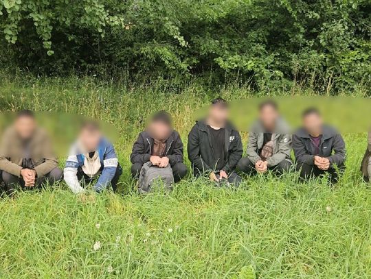 Pieszo przekroczyli granicę polsko-litewską. Straż Graniczna zatrzymała ośmiu Afgańczyków