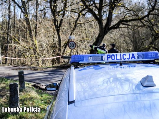 Pijana kobieta w seicento próbowała rozjechać policjanta. Musieli rozwalić szybę, żeby ją powstrzymać