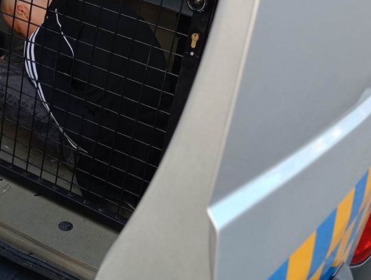 Pijany 16-latek demolował radiowóz i wyzywał matkę. Zmieszał alkohol z energetykami Pijany 16-latek demolował radiowóz i wyzywał matkę. Zmieszał alkohol z energetykami